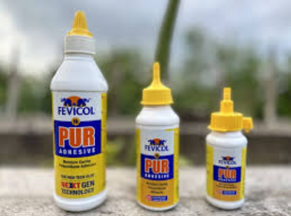 FEVICOL 1K PUR | Pack of 12