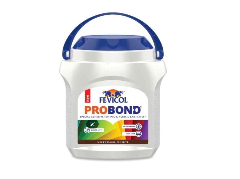 FEVICOL PROBOND | 10kg Pack