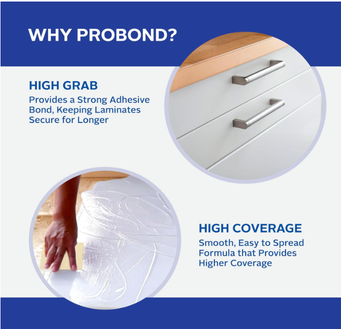 FEVICOL PROBOND | 10kg Pack